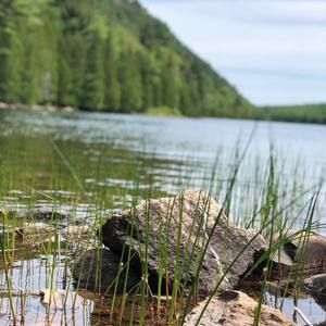 Meet your Posher, Krissie